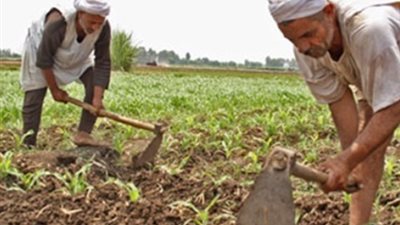 عيد الفلاح 2026.. الفلاح في مواجهة ندرة المياه وتغير المناخ وارتفاع الأسعار