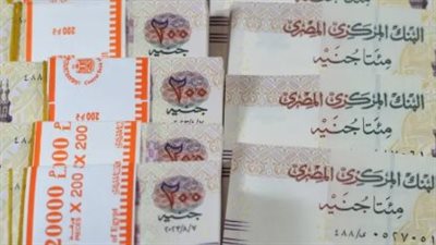 شهادات الادخار في 7 بنوك.. من يبدأ بـ1000 جنيه ومن يحتاج مليونًا؟