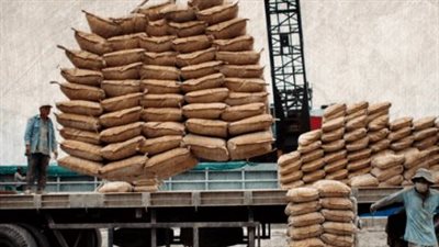 مصر بين كبار مصدري الأسمنت عالميًا.. وسعر الطن مستقر اليوم