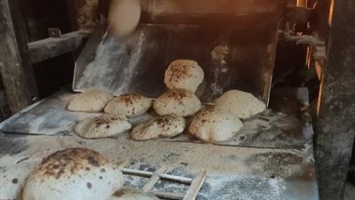 50 و40 و30 جرامًا.. اعرف السعر الصحيح لرغيف الفينو قبل الشراء