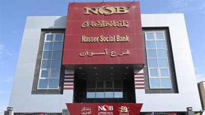 تمويل «في حب مصر» من بنك ناصر.. كيف تحصل على 30 ألف جنيه وما الأوراق المطلوبة؟