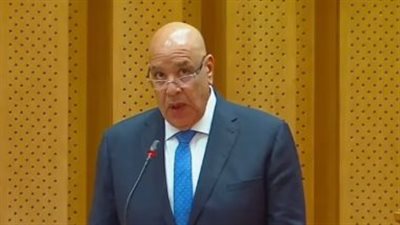 ماذا سيحدث للمادة 25؟.. مجلس النواب يشكل لجنة خاصة لحسم مصيرها