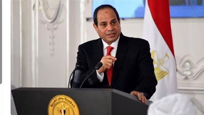 ماذا جرى عند وصول السيسي إلى القصر الرئاسي الإندونيسي؟