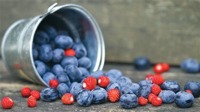 أضرار التوت البري