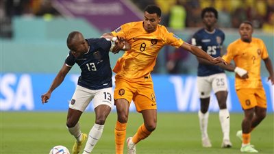 كأس العالم 2022.. التعادل الإيجابي يحسم نتيجة مباراة هولندا والإكوادور