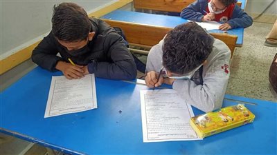 شكل نتيجة الصف الرابع والخامس الابتدائي.. التقييم بـ 4 ألوان