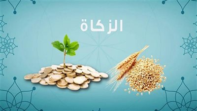 هل تسقط الزكاة بالموت.. تعرف على أحكام الزكاة كاملة